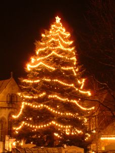 weihnachtsbaum_kl.jpg ©